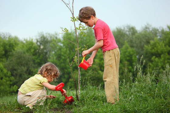 earth day planting tree